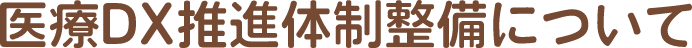医療DX推進体制整備について